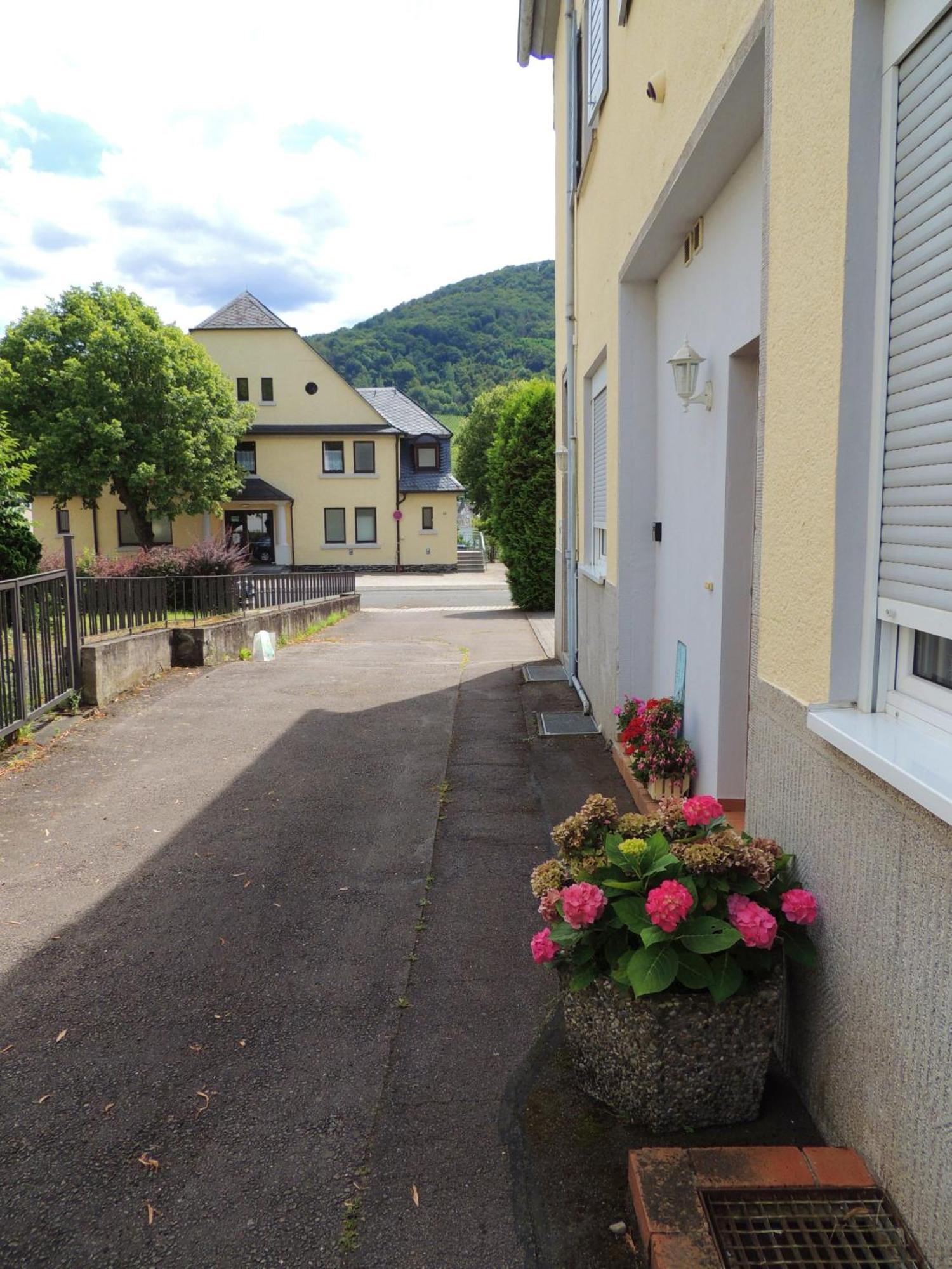 Ferienwohnung Afrika Commune fusionnée de Commune fusionnée de Bernkastel-Kues Extérieur photo